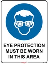 Safety Sign 600 x 450mm - Eye Protection must be worn